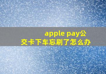 apple pay公交卡下车忘刷了怎么办